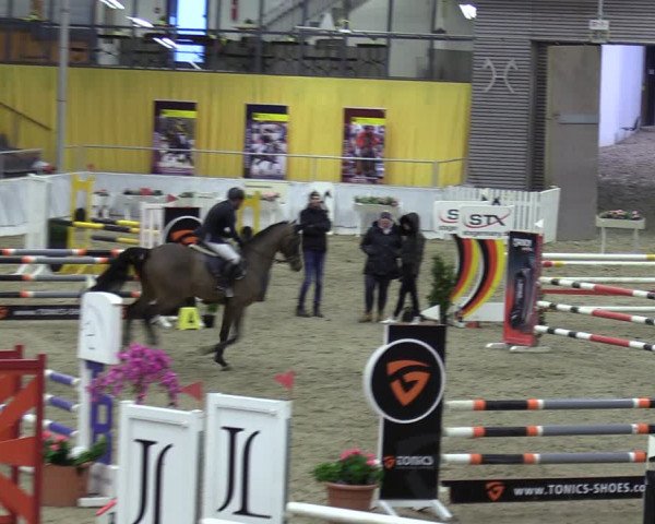 Reitturnier Verden 2024