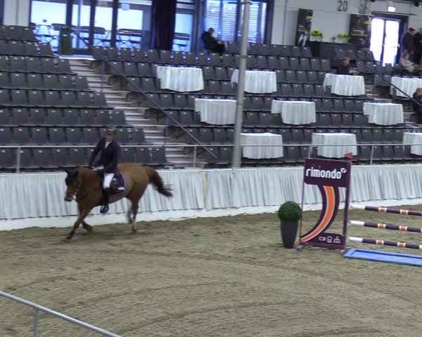 Reitturnier Verden 2024
