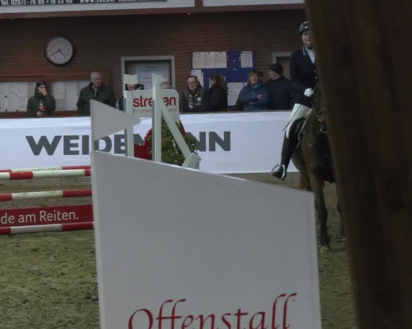 Reitturnier Barlo-Bocholt 2024