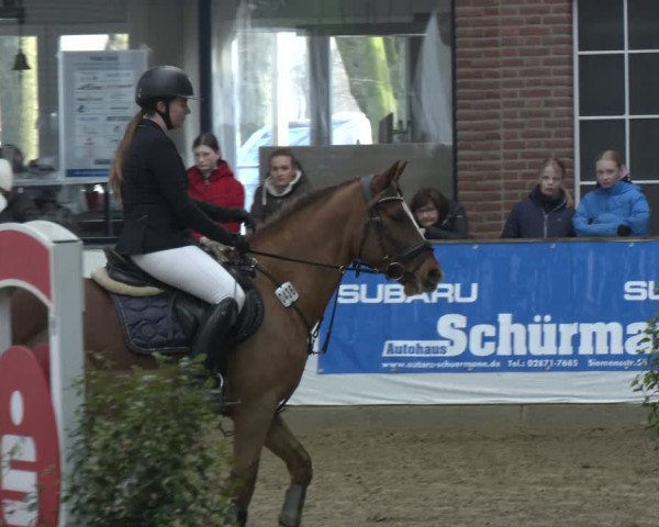 Reitturnier Barlo-Bocholt 2024