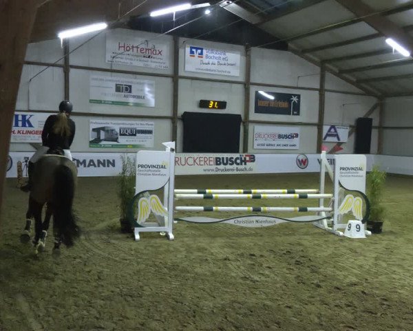 Reitturnier Barlo-Bocholt 2024