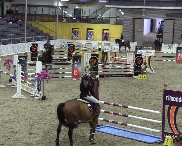 Reitturnier Verden 2024