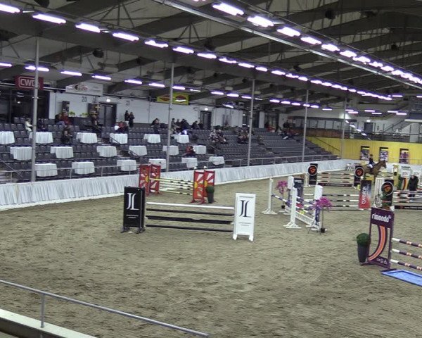 Reitturnier Verden 2024
