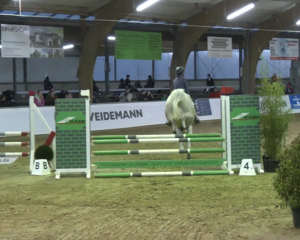 Reitturnier Barlo-Bocholt 2024
