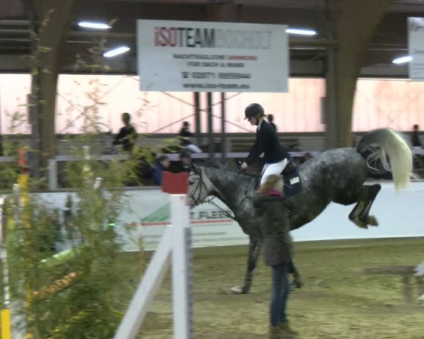 Reitturnier Barlo-Bocholt 2024