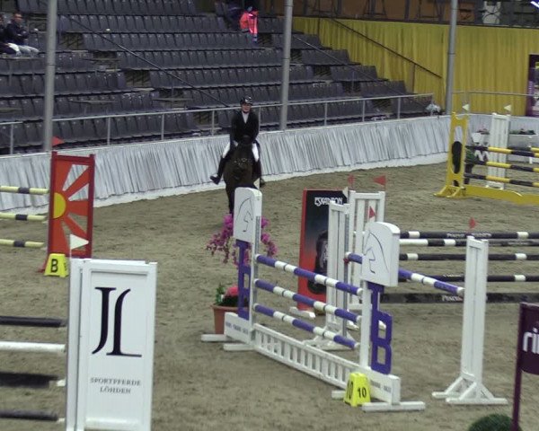 Reitturnier Verden 2024