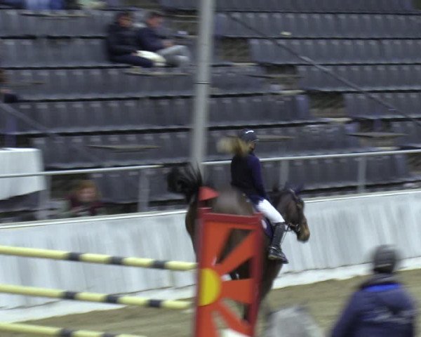 Reitturnier Verden 2024