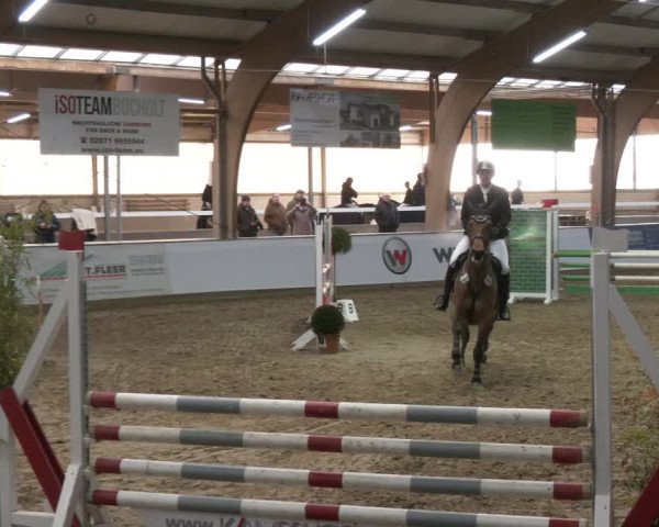 Reitturnier Barlo-Bocholt 2024