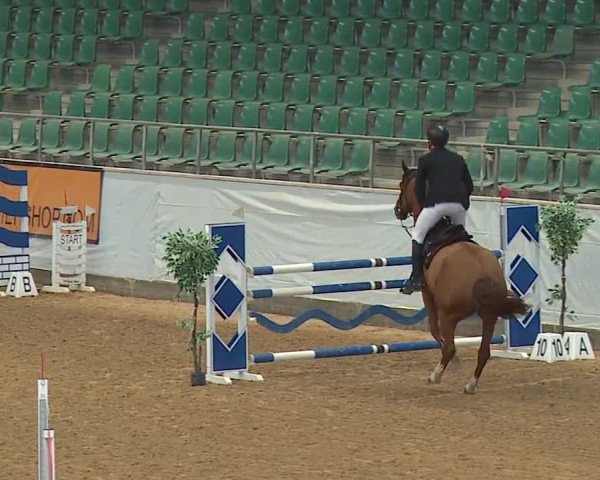 Reitturnier Kreuth/Opf. 2024