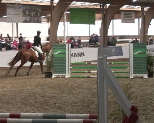 Reitturnier Barlo-Bocholt 2024