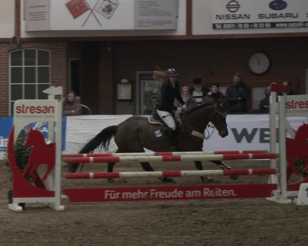 Reitturnier Barlo-Bocholt 2024
