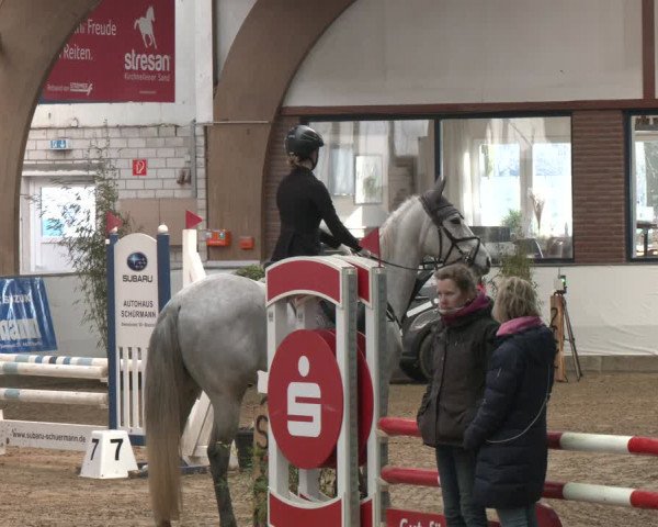 Reitturnier Barlo-Bocholt 2024