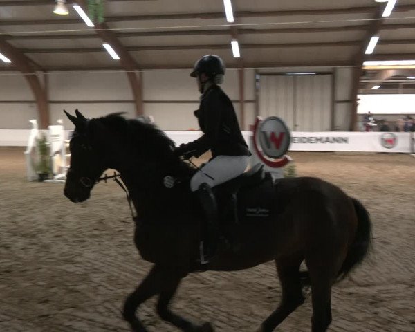 Reitturnier Barlo-Bocholt 2024