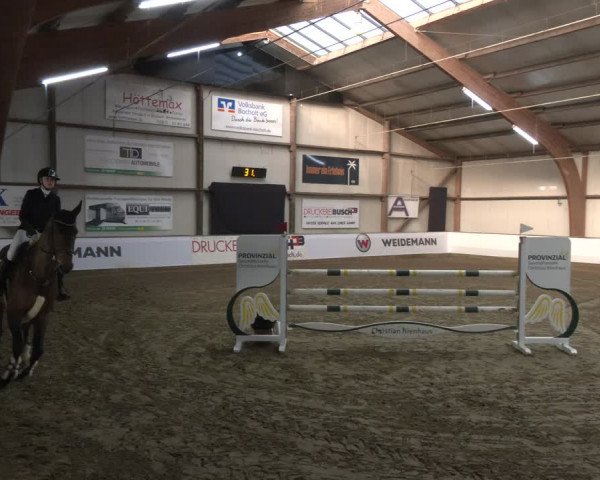 Reitturnier Barlo-Bocholt 2024