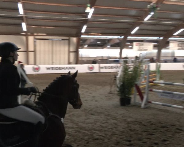 Reitturnier Barlo-Bocholt 2024