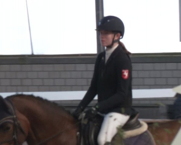 Reitturnier Barlo-Bocholt 2024