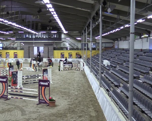 Reitturnier Verden 2024