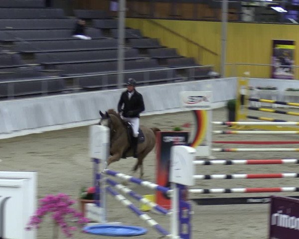 Reitturnier Verden 2024