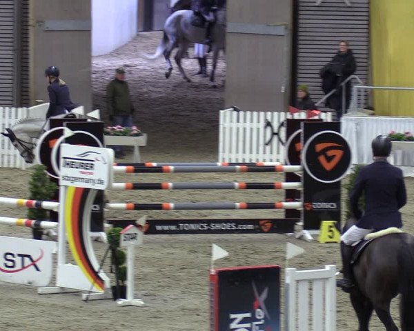 Reitturnier Verden 2024
