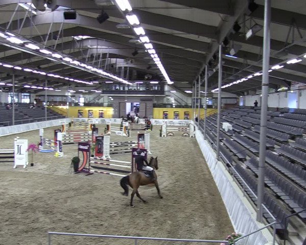 Reitturnier Verden 2024