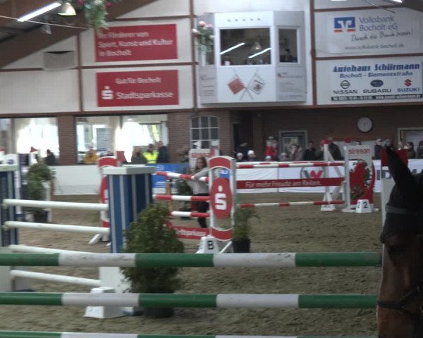 Reitturnier Barlo-Bocholt 2024