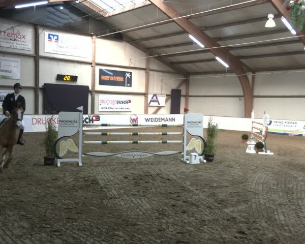 Reitturnier Barlo-Bocholt 2024