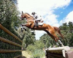 jumper Horstfeldes Libero (Westphalian, 1999, from Lauries Crusador xx)