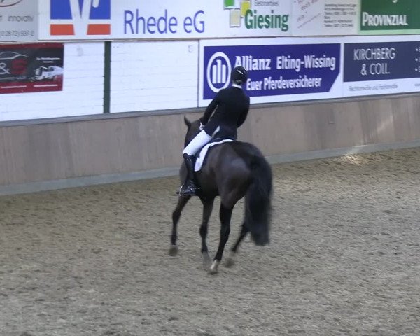 Reitturnier Rhede 2024
