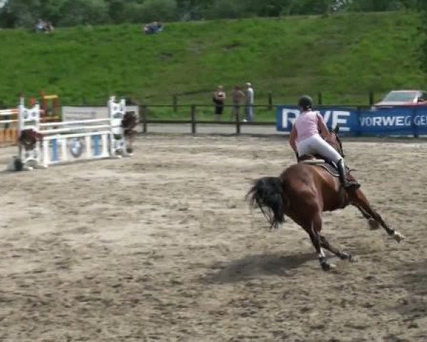 Dorsten 2011