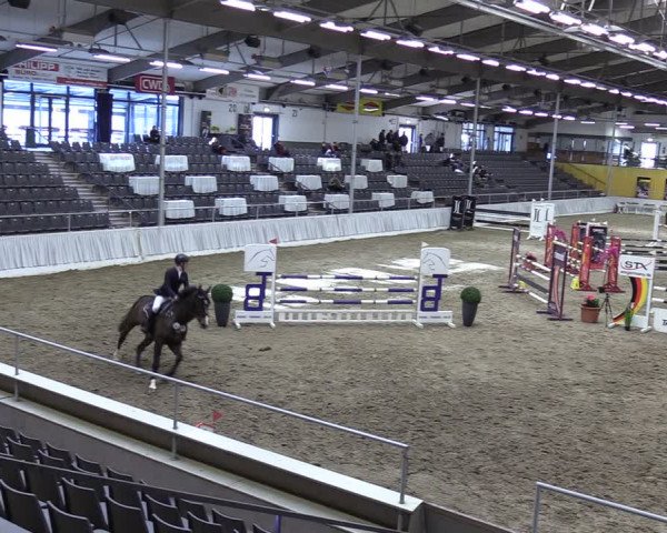 Reitturnier Verden 2024