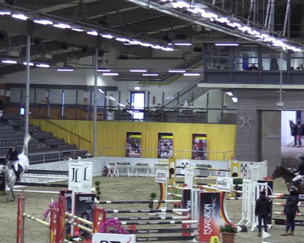 Reitturnier Verden 2024
