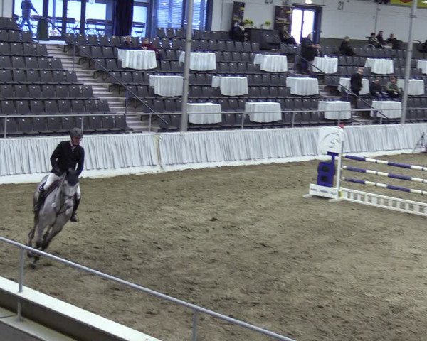 Reitturnier Verden 2024