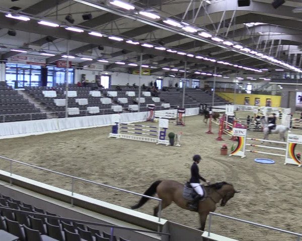 Reitturnier Verden 2024