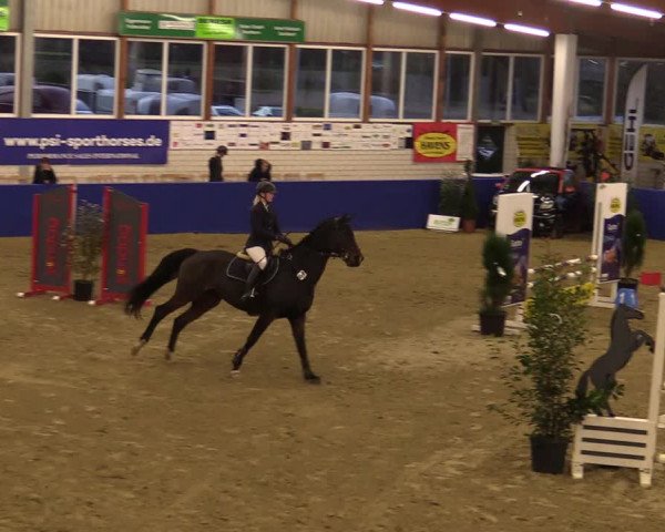 Euregio Springturnier Isterberg 2021