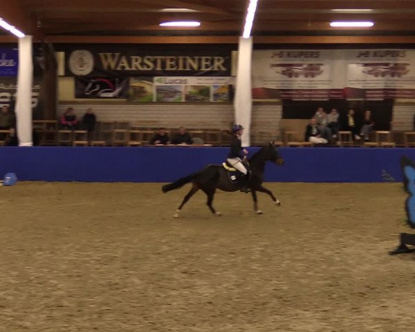 Euregio Springturnier Isterberg 2021
