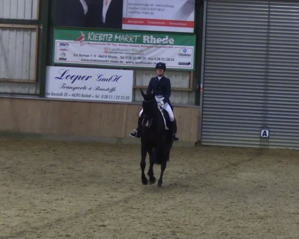 Reitturnier Rhede 2024