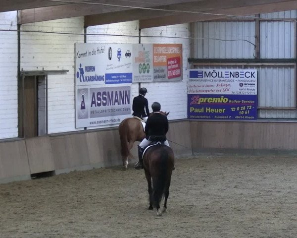 Reitturnier Rhede 2024