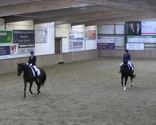 Reitturnier Rhede 2024