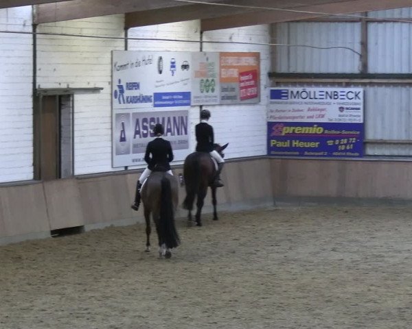 Reitturnier Rhede 2024