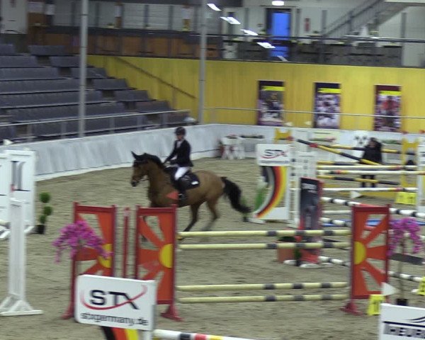 Reitturnier Verden 2024