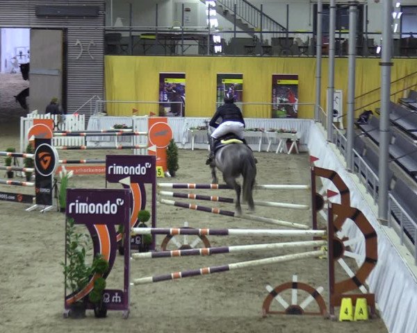 Reitturnier Verden 2024