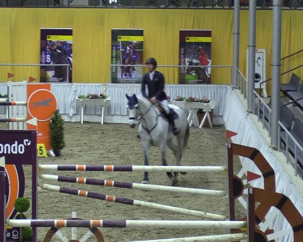 Reitturnier Verden 2024