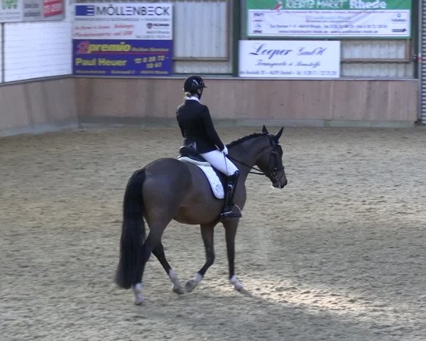 Reitturnier Rhede 2024