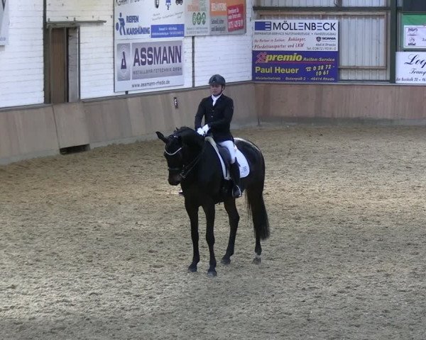 Reitturnier Rhede 2024