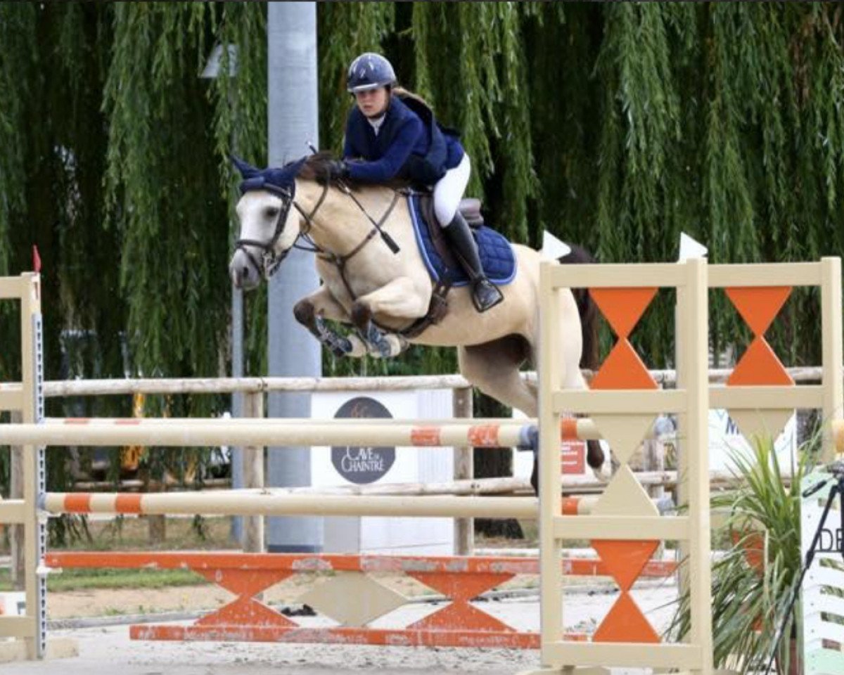 horse Cendrillon Dupavillon (French Pony, 2012, from Ulk d'Ete)