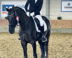 dressage horse Feen-Tanz (Hanoverian, 2016, from Fürsten-Look)