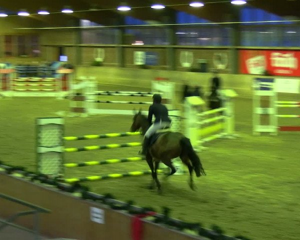 Reitturnier Köln-Leverkusen 2024