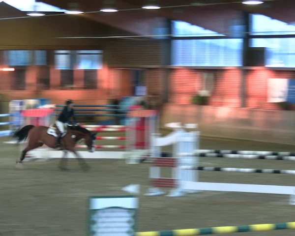 Reitturnier Köln-Leverkusen 2024