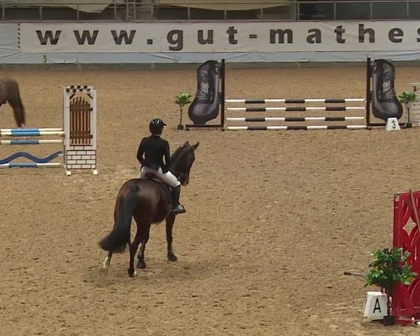 Reitturnier Kreuth/Opf. 2024