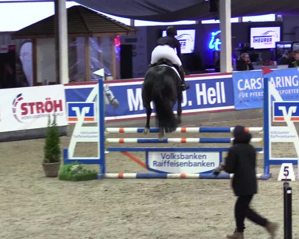 5. Nordic Jumping event Negernbötel 2024